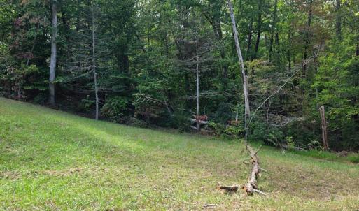 Photo #10 of BROOKWOOD Drive, Evington, VA 3.8 acres