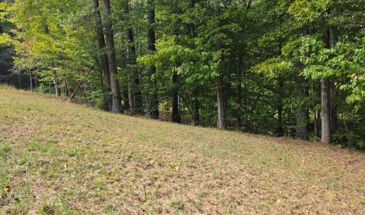 Photo #18 of BROOKWOOD Drive, Evington, VA 3.8 acres
