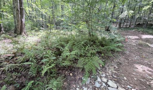 Photo #12 of 33 Piney Mountain Lane, Shipman, VA 12.1 acres