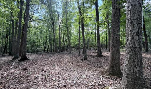 Photo #10 of 33 Piney Mountain Lane, Shipman, VA 12.1 acres