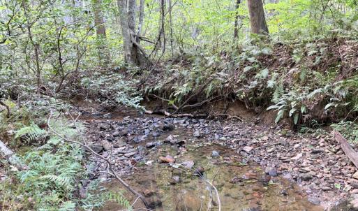 Photo #11 of 33 Piney Mountain Lane, Shipman, VA 12.1 acres
