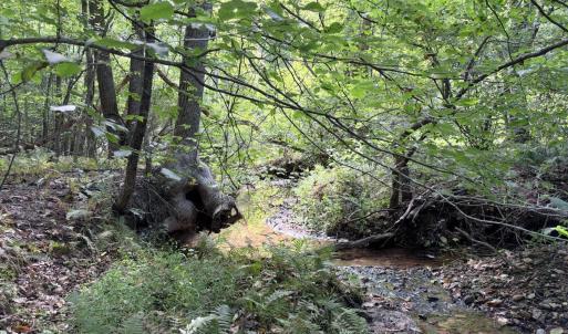 Photo #1 of 33 Piney Mountain Lane, Shipman, VA 12.1 acres