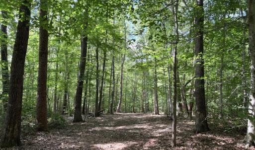 Photo #2 of 33 Piney Mountain Lane, Shipman, VA 12.1 acres