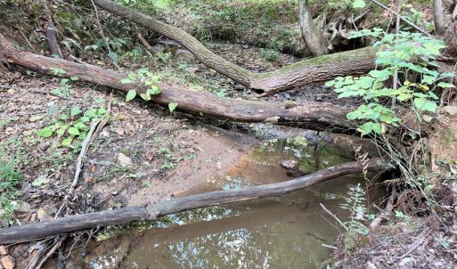 Photo #13 of 33 Piney Mountain Lane, Shipman, VA 12.1 acres