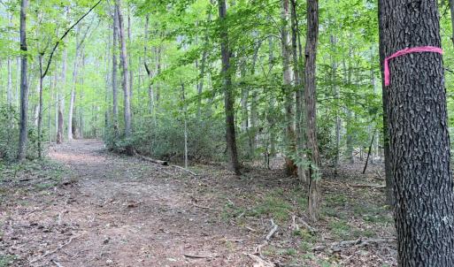 Photo #16 of 33 Piney Mountain Lane, Shipman, VA 12.1 acres