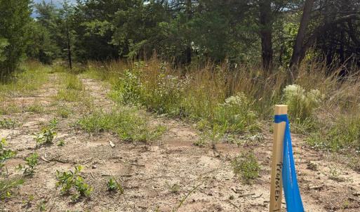 Photo #23 of Lot 56A Bethany Road, Rustburg, VA 4.4 acres