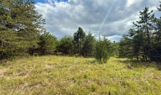 Photo #3 of Lot 56A Bethany Road, Rustburg, VA 4.4 acres