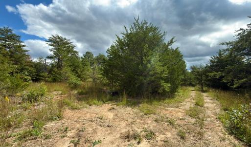 Photo #17 of Lot 56A Bethany Road, Rustburg, VA 4.4 acres