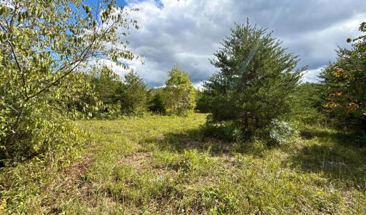 Photo #2 of Lot 56A Bethany Road, Rustburg, VA 4.4 acres