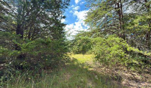 Photo #18 of Lot 56A Bethany Road, Rustburg, VA 4.4 acres