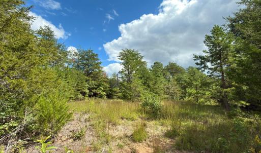 Photo #22 of Lot 56A Bethany Road, Rustburg, VA 4.4 acres