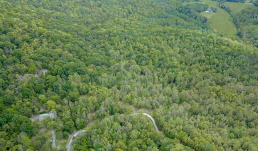 Photo #5 of Crest of Pedlar Drive, Monroe, VA 1.2 acres