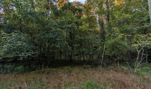 Photo #4 of 206 Chambersville Street, Lynchburg, VA 6.3 acres