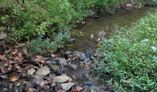 Photo #2 of 206 Chambersville Street, Lynchburg, VA 6.3 acres