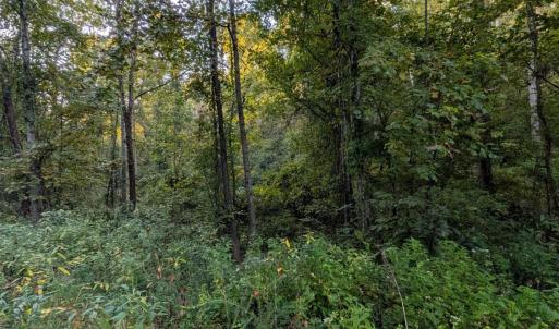 Photo #5 of 206 Chambersville Street, Lynchburg, VA 6.3 acres