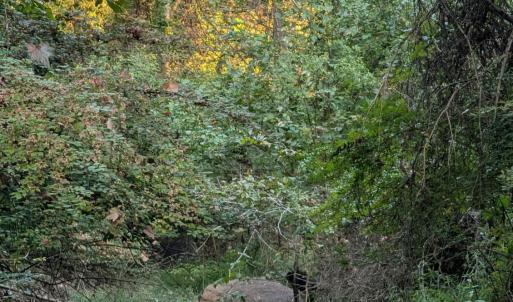 Photo #3 of 206 Chambersville Street, Lynchburg, VA 6.3 acres