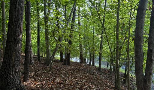 Photo #3 of Waterway Court, Lynch Station, VA 1.6 acres