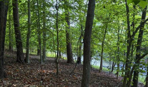 Photo #4 of Waterway Court, Lynch Station, VA 1.6 acres