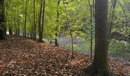 Photo #5 of Waterway Court, Lynch Station, VA 1.6 acres