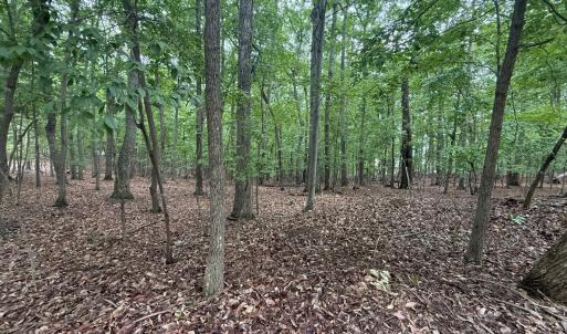 Photo #6 of Saunders Point Road, Huddleston, VA 2.8 acres