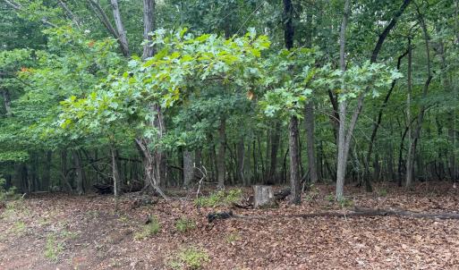 Photo #23 of Saunders Point Road, Huddleston, VA 2.8 acres