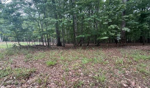 Photo #2 of Saunders Point Road, Huddleston, VA 2.8 acres