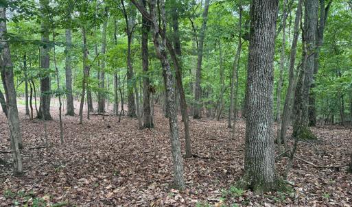 Photo #5 of Saunders Point Road, Huddleston, VA 2.8 acres