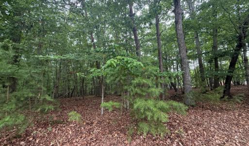 Photo #20 of Saunders Point Road, Huddleston, VA 2.8 acres