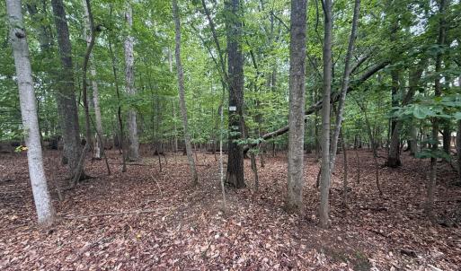 Photo #15 of Saunders Point Road, Huddleston, VA 2.8 acres