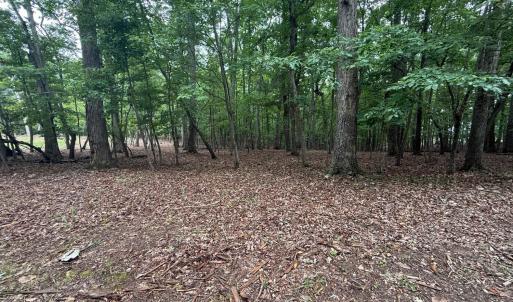 Photo #4 of Saunders Point Road, Huddleston, VA 2.8 acres