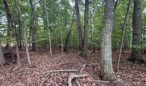 Photo #9 of Saunders Point Road, Huddleston, VA 2.8 acres
