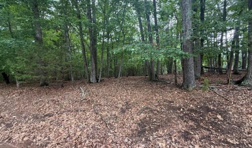 Photo #16 of Saunders Point Road, Huddleston, VA 2.8 acres