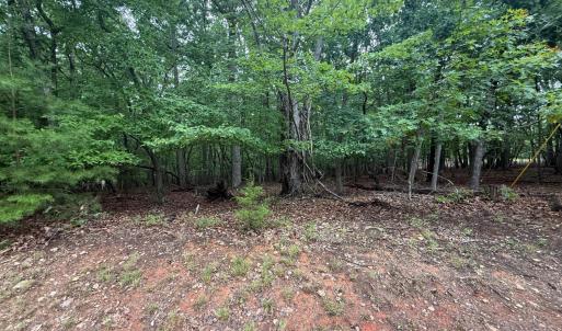Photo #24 of Saunders Point Road, Huddleston, VA 2.8 acres