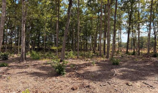 Photo #4 of Long Island Road, Gladys, VA 44.2 acres