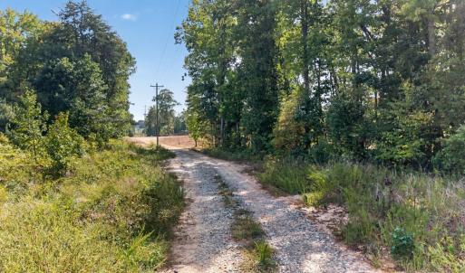 Photo #8 of Long Island Road, Gladys, VA 44.2 acres