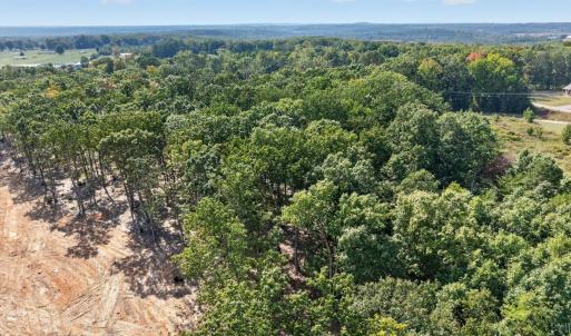 Photo #9 of Long Island Road, Gladys, VA 44.2 acres