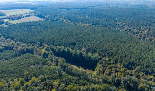 Photo #68 of 2901 Lewis Ford Road, Brookneal, VA 162.5 acres