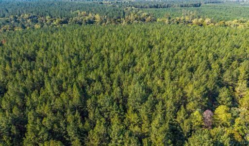 Photo #46 of 2901 Lewis Ford Road, Brookneal, VA 162.5 acres