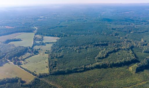 Photo #16 of 2901 Lewis Ford Road, Brookneal, VA 162.5 acres