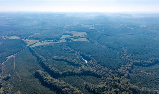 Photo #13 of 2901 Lewis Ford Road, Brookneal, VA 162.5 acres