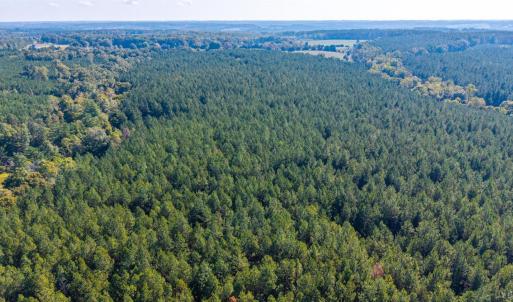 Photo #65 of 2901 Lewis Ford Road, Brookneal, VA 162.5 acres