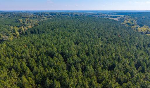 Photo #47 of 2901 Lewis Ford Road, Brookneal, VA 162.5 acres