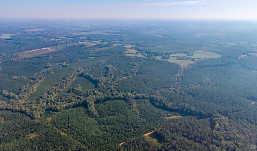Photo #11 of 2901 Lewis Ford Road, Brookneal, VA 162.5 acres