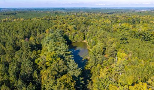 Photo #44 of 2901 Lewis Ford Road, Brookneal, VA 162.5 acres