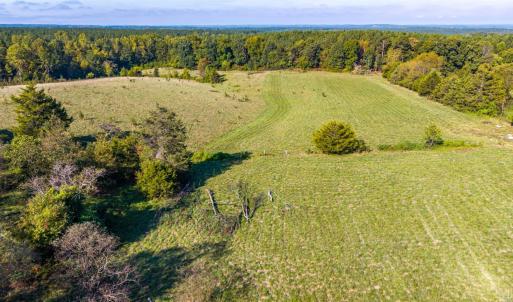Photo #27 of 2901 Lewis Ford Road, Brookneal, VA 162.5 acres