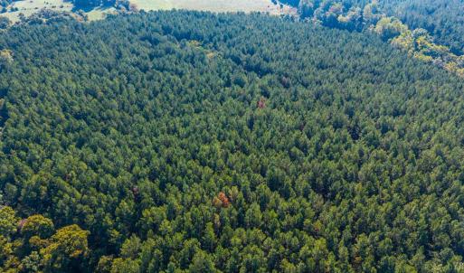 Photo #41 of 2901 Lewis Ford Road, Brookneal, VA 162.5 acres