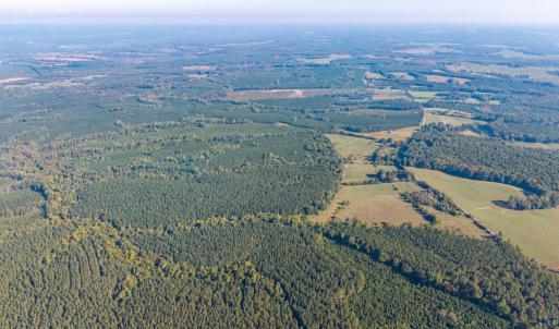 Photo #9 of 2901 Lewis Ford Road, Brookneal, VA 162.5 acres