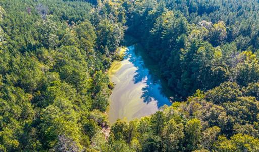 Photo #38 of 2901 Lewis Ford Road, Brookneal, VA 162.5 acres