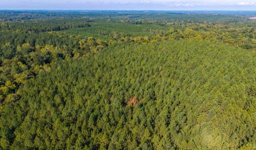 Photo #61 of 2901 Lewis Ford Road, Brookneal, VA 162.5 acres