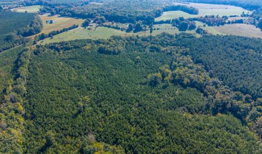 Photo #70 of 2901 Lewis Ford Road, Brookneal, VA 162.5 acres